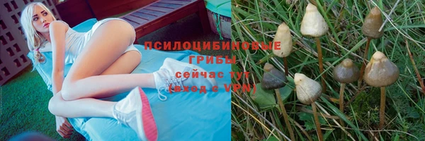 прущие крисы Алзамай